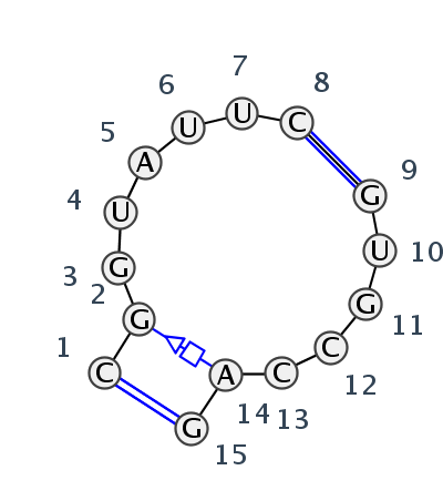 IL_55871.1