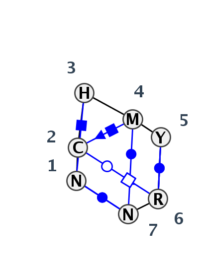 IL_75255.1