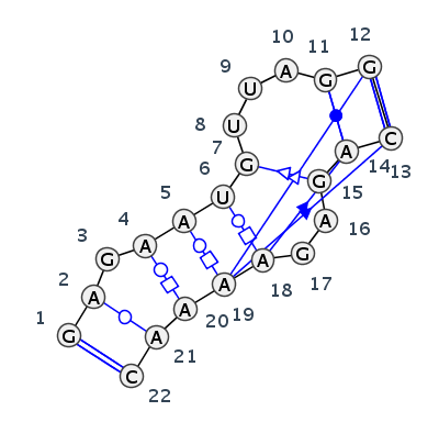 IL_53581.1