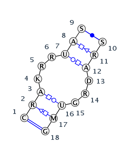 IL_56455.3