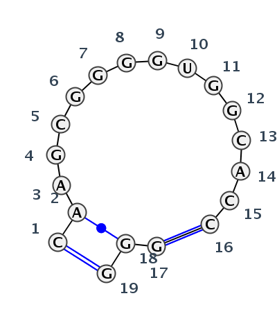 IL_00559.1