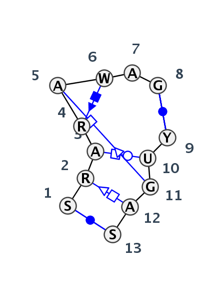 IL_04638.1