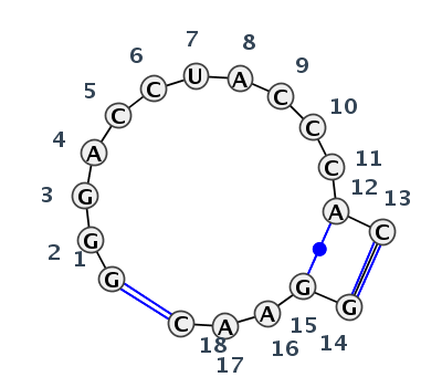 IL_19516.1