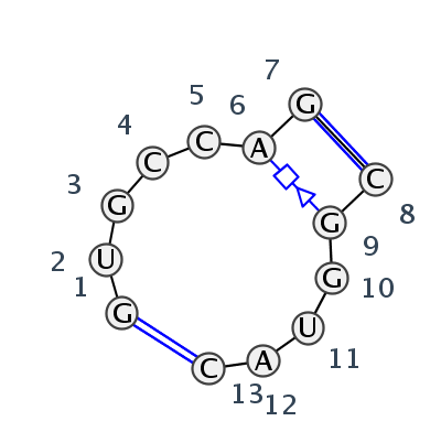 IL_55871.1