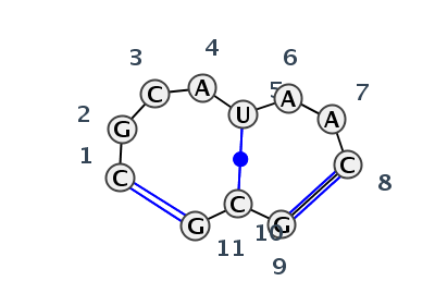 IL_95811.1