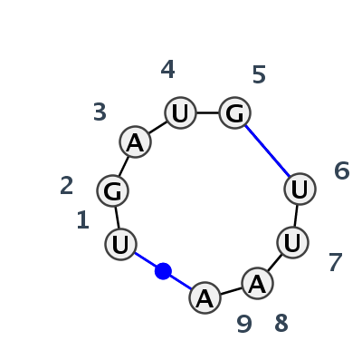 IL_06300.1
