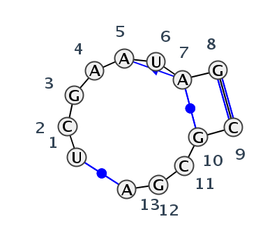 IL_15174.1