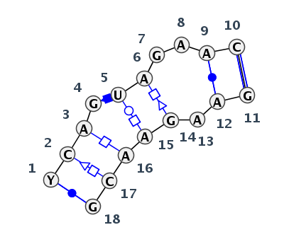 IL_26785.1