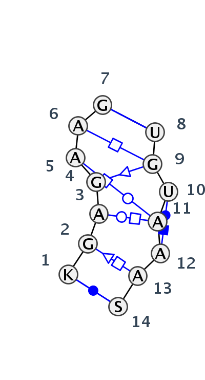 IL_28026.1