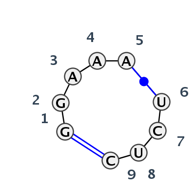 IL_48431.1