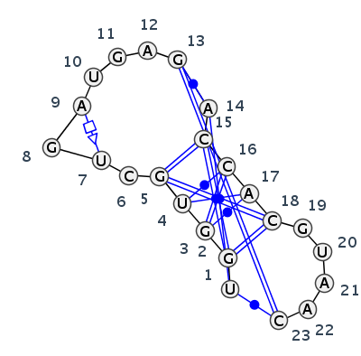 IL_62947.1