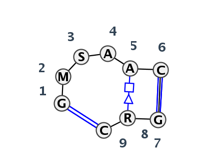 IL_12566.2
