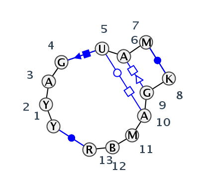 IL_16458.1
