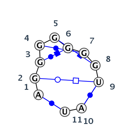 IL_19852.1