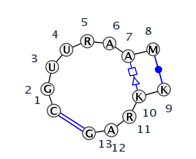 IL_93699.1