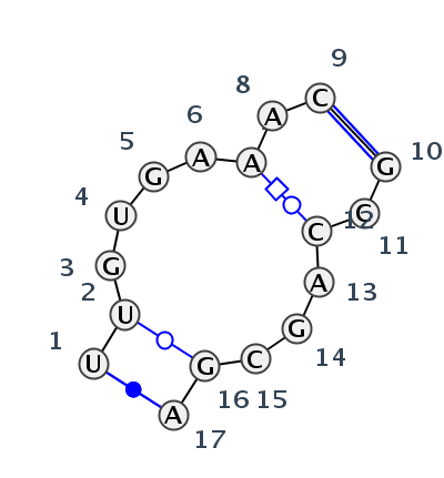 IL_10447.1