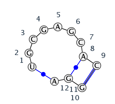 IL_16073.1