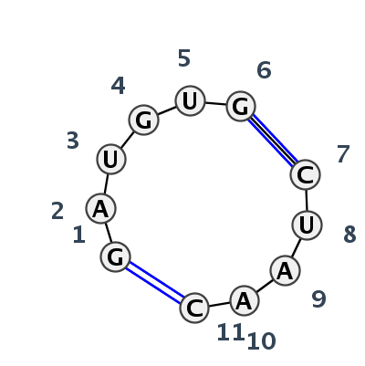 IL_16665.1