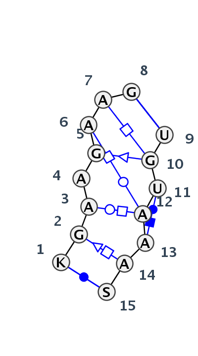 IL_28026.1