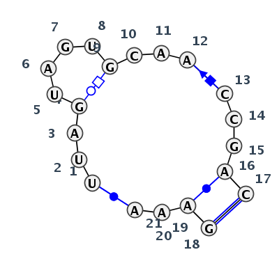 IL_41414.1