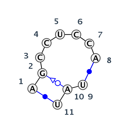 IL_80412.1