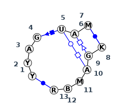 IL_16458.2