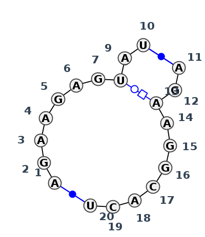 IL_49010.1