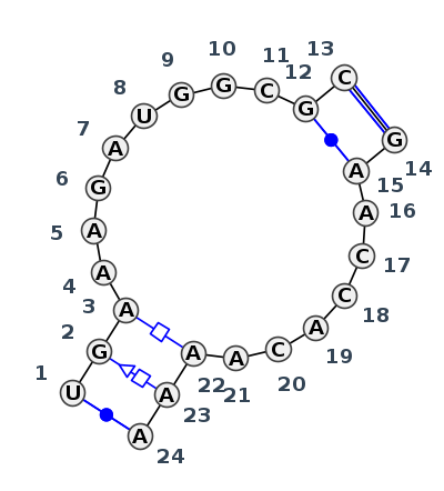 IL_53762.1