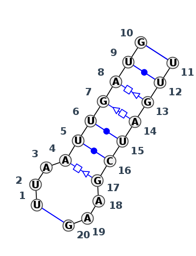IL_61249.1
