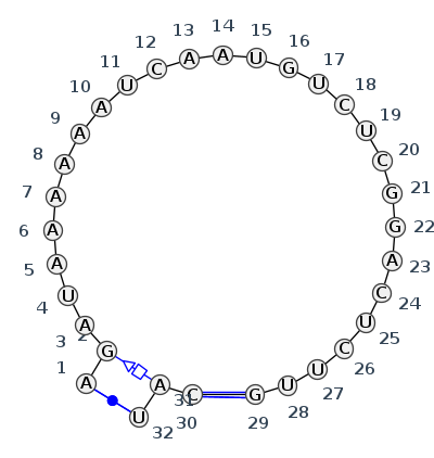 IL_13244.1