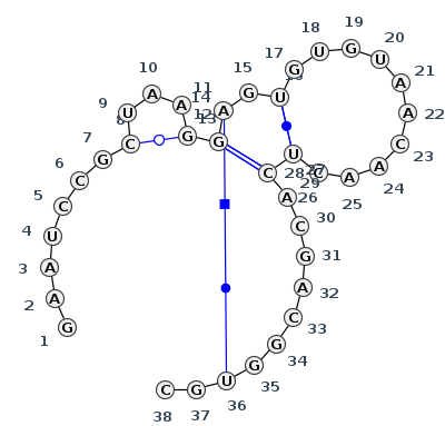 IL_99396.1