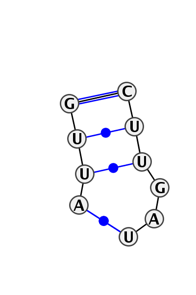 IL_45978.1