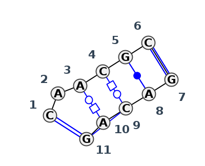 IL_07880.1