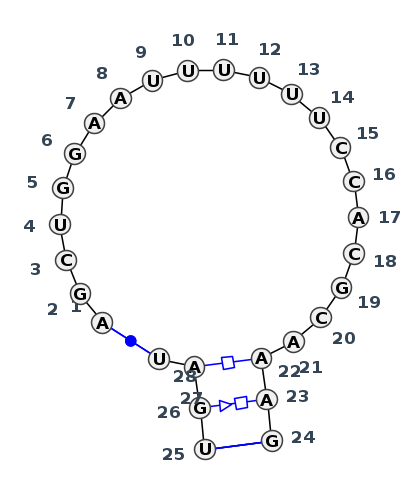 IL_46461.1
