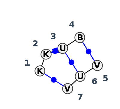 IL_63959.1