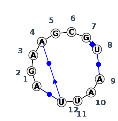 IL_24499.1