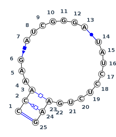 IL_29826.1