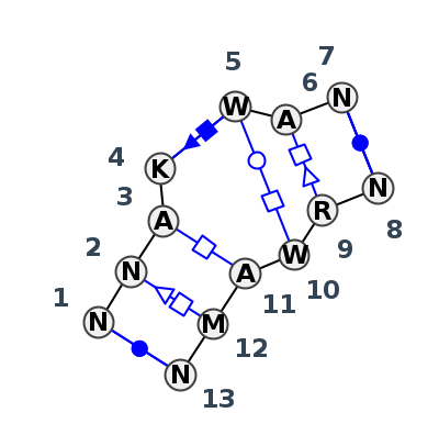 IL_48283.1