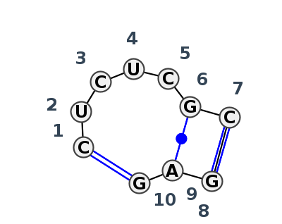 IL_80884.1