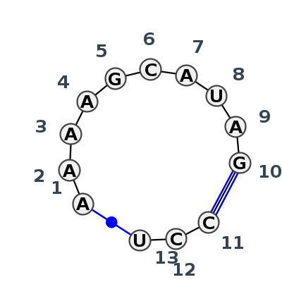 IL_88072.1
