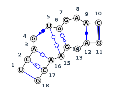IL_09979.1