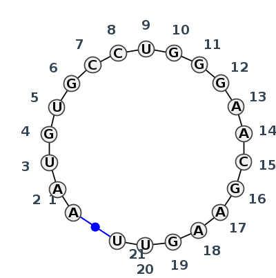 IL_13394.1