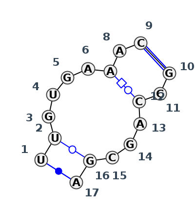 IL_48143.1