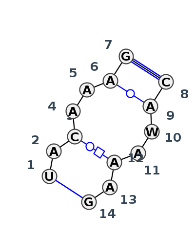IL_09129.1