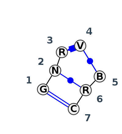 IL_55516.1
