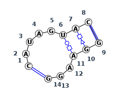IL_61286.1