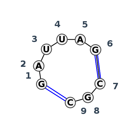IL_80458.1