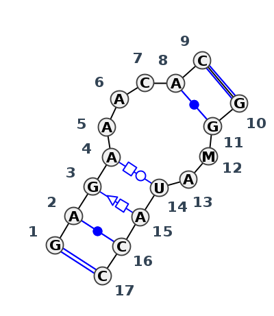 IL_17157.1