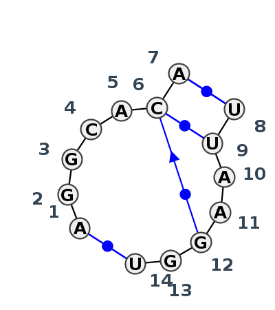 IL_19048.1