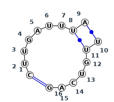 IL_57741.1